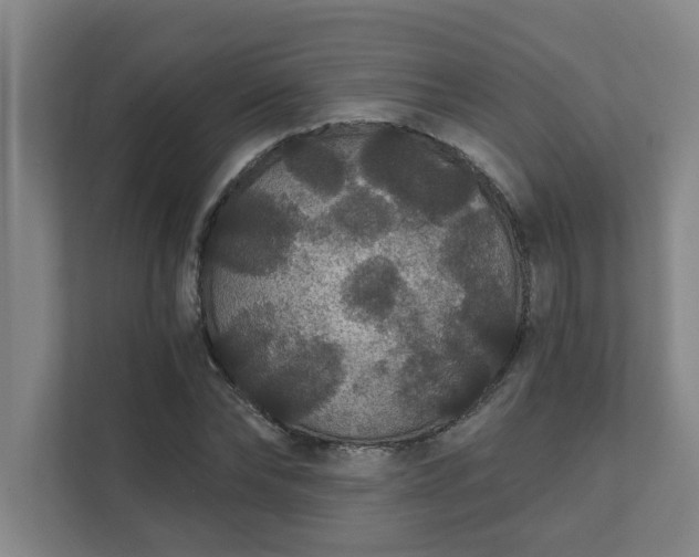 X0000111420878200907201045