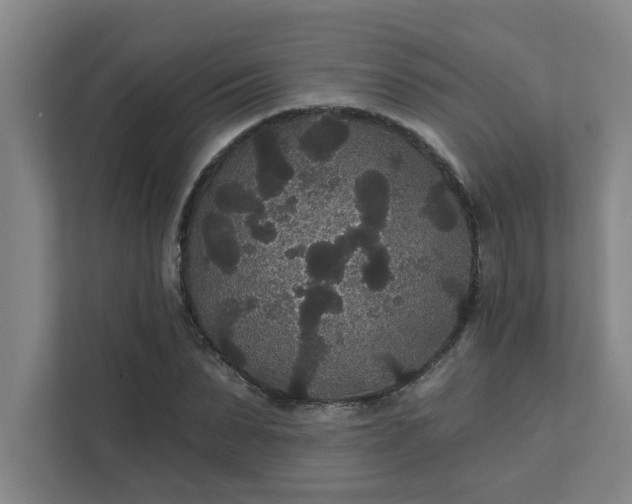 X0000111420879200907201045