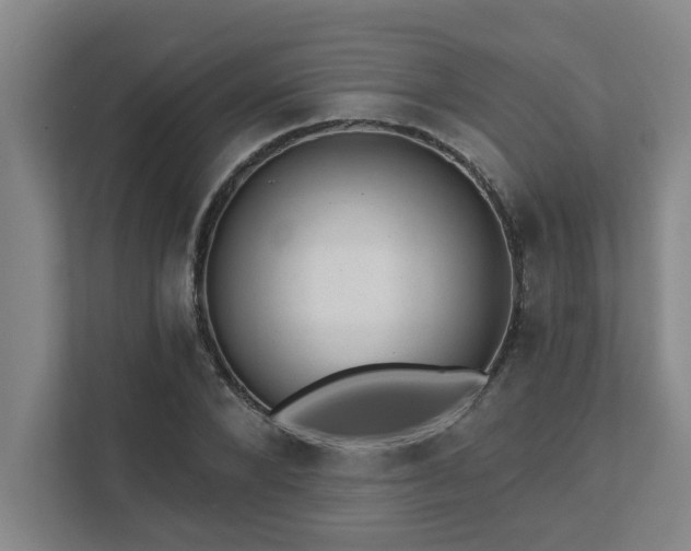 X0000111420880200907201045