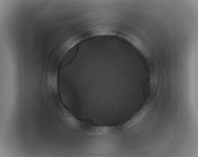 X0000111420881200907201045