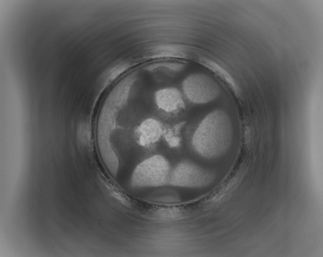 X0000111420882200907201045