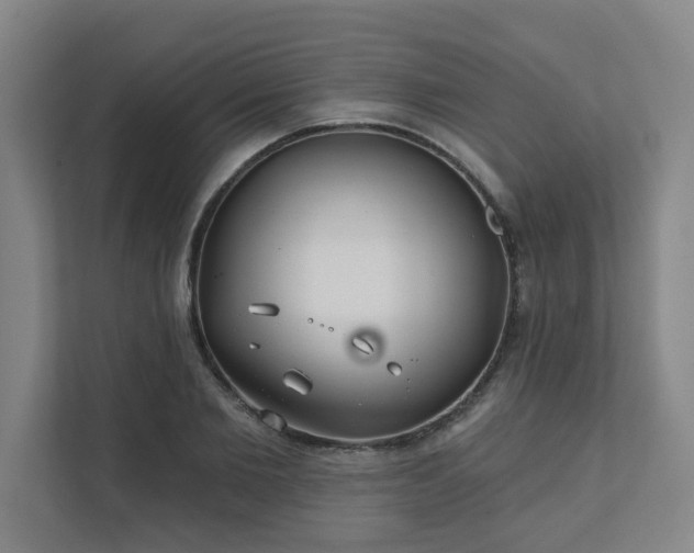 X0000111420885200907201045