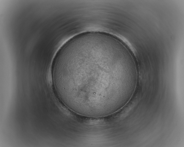 X0000111420887200907201045