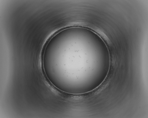 X0000111420888200907201045