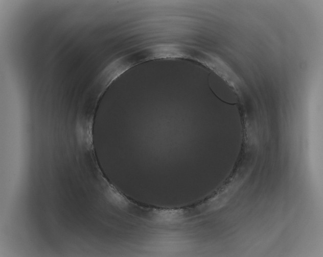 X0000111420889200907201045