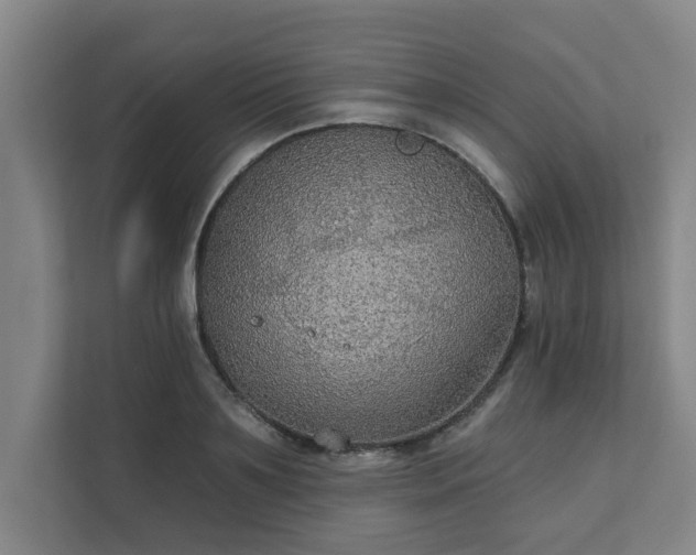 X0000111420891200907201045