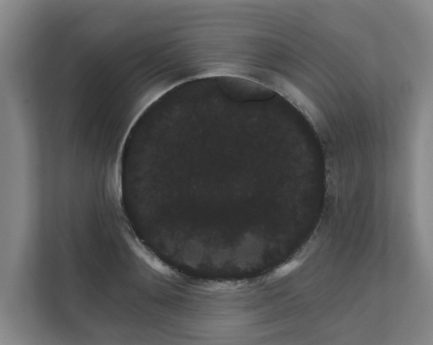 X0000111420892200907201045