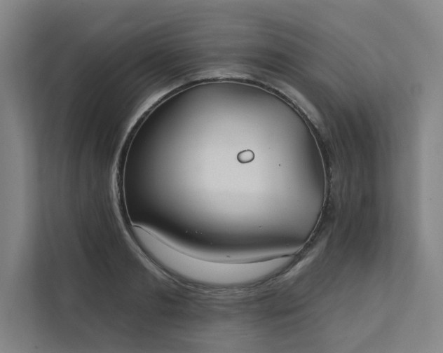 X0000111420893200907201045