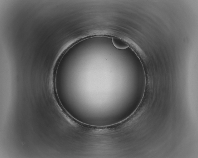 X0000111420894200907201045