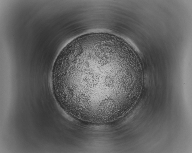 X0000111420895200907201045