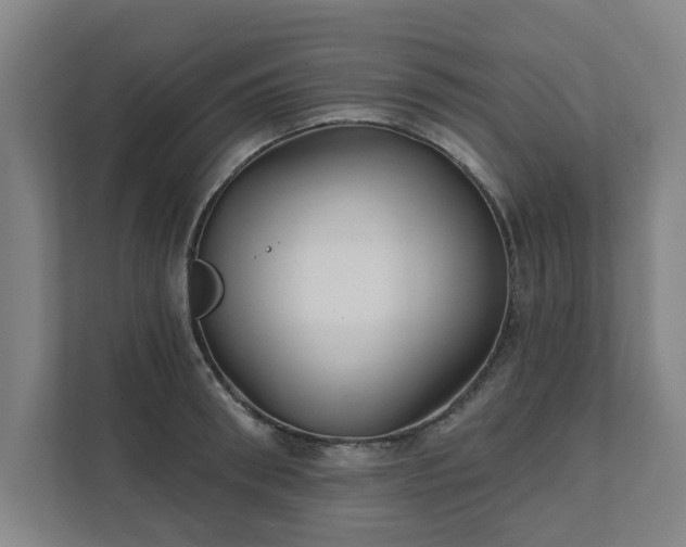 X0000111420898200907201045