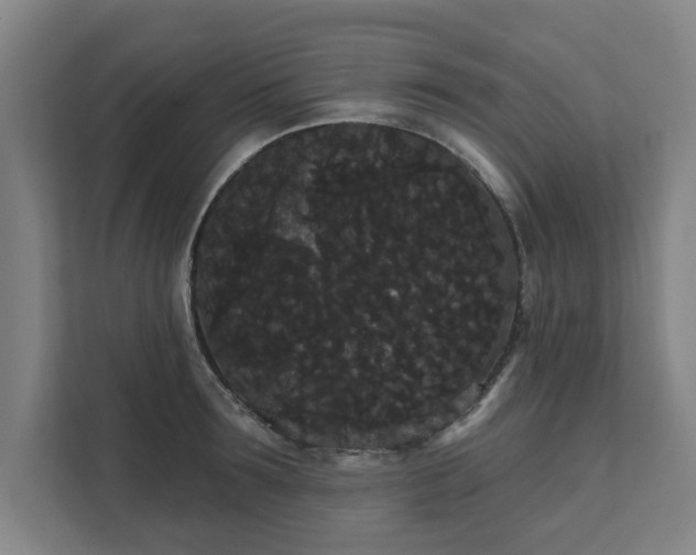 X0000111420899200907201045