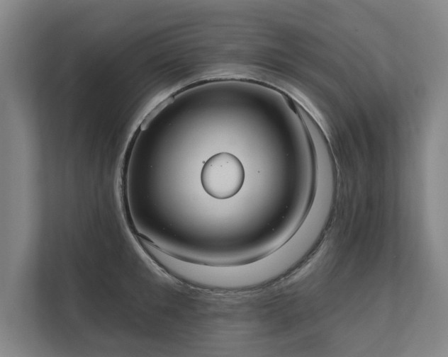 X0000111420901200907201045