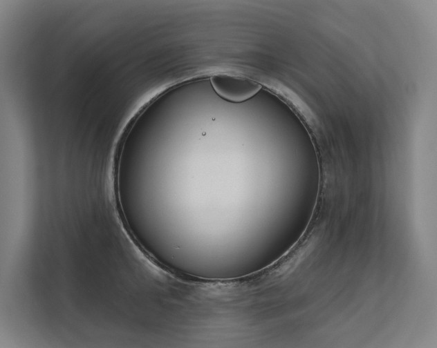 X0000111420902200907201045