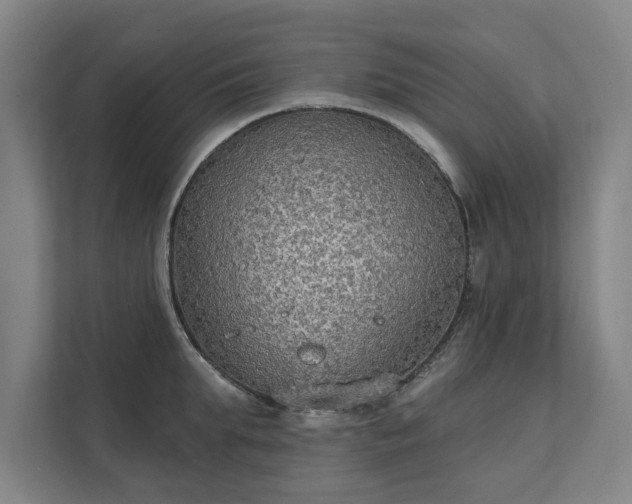 X0000111420903200907201045