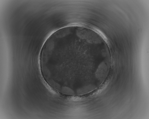 X0000111420907200907201045