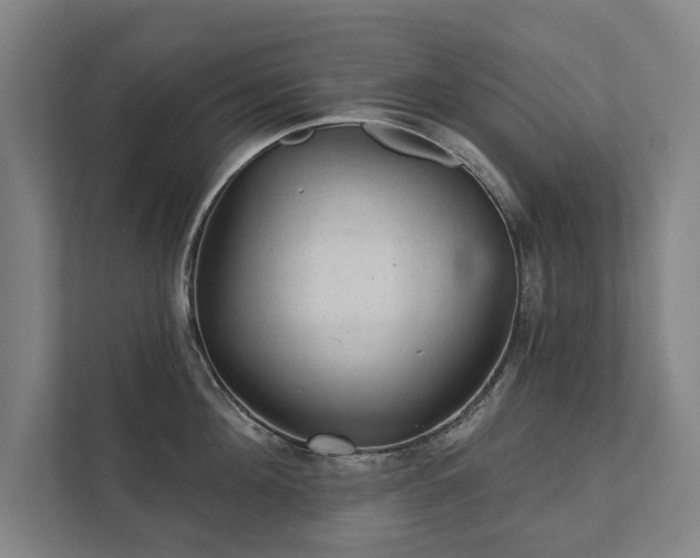 X0000111420908200907201045