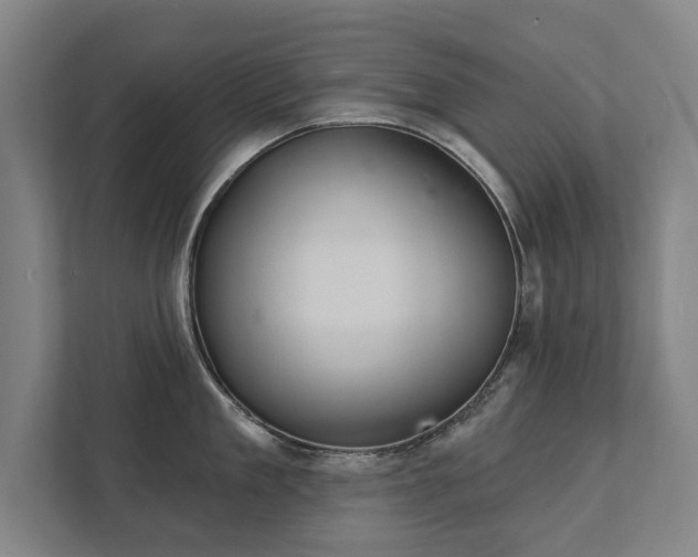 X0000111420909200907201045