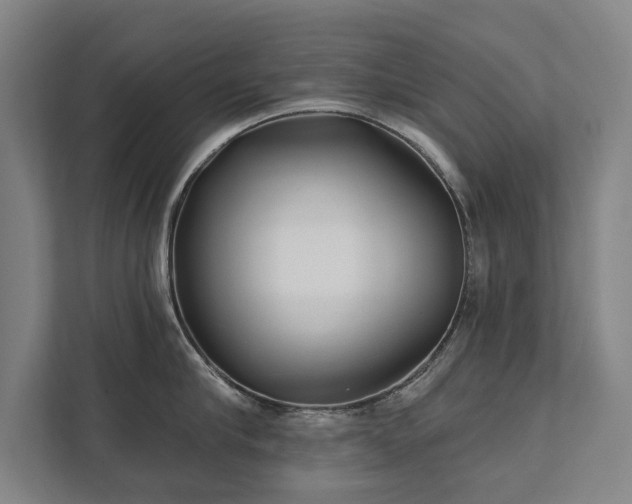 X0000111420910200907201045