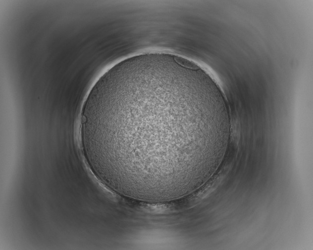 X0000111420911200907201045