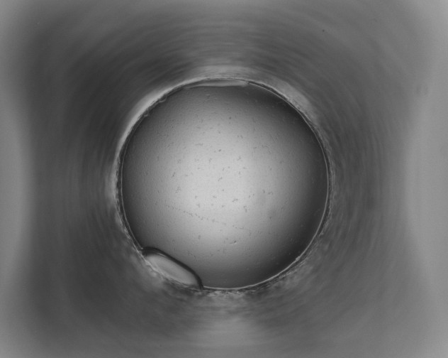 X0000111420912200907201045