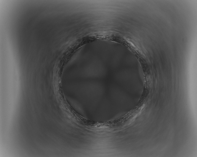 X0000111420913200907201044