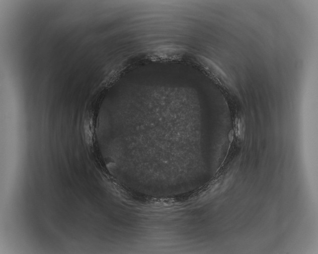 X0000111420915200907201044