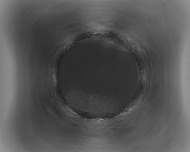 X0000111420916200907201044