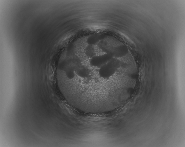 X0000111420917200907201044