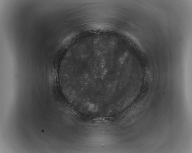 X0000111420918200907201044