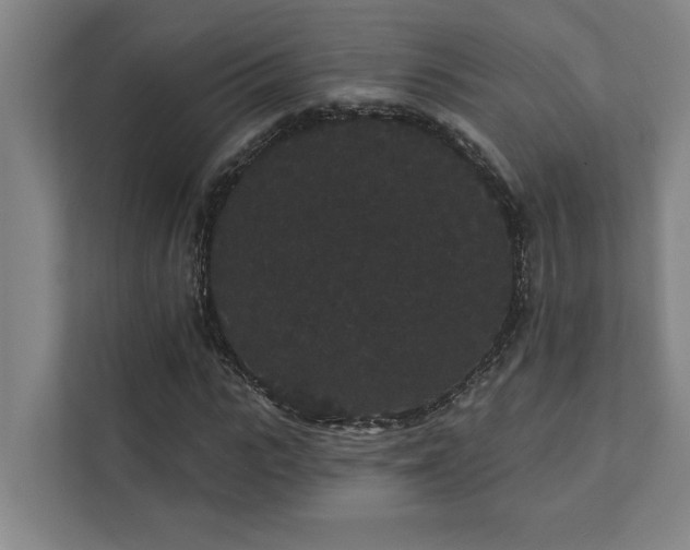 X0000111420919200907201044