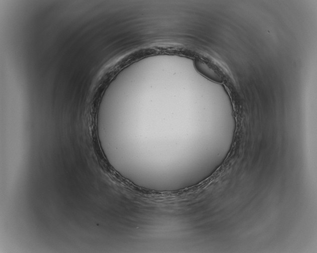 X0000111420920200907201044