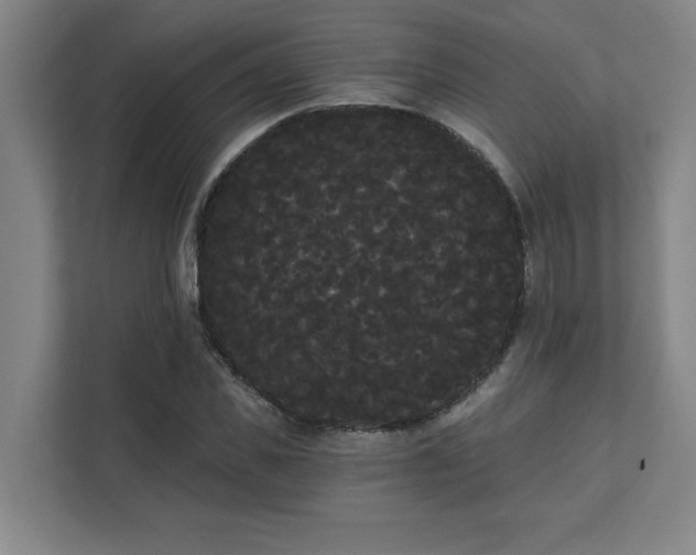 X0000111420925200907201045