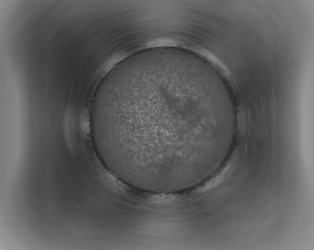 X0000111420929200907201045