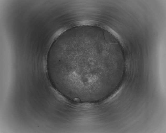 X0000111420930200907201045