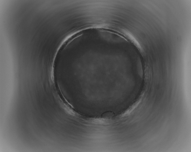 X0000111420932200907201045