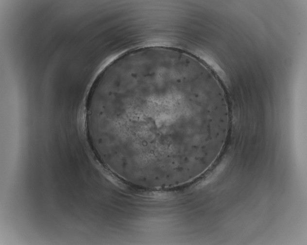 X0000111420933200907201045