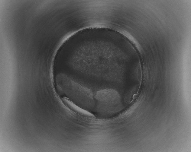 X0000111420935200907201045