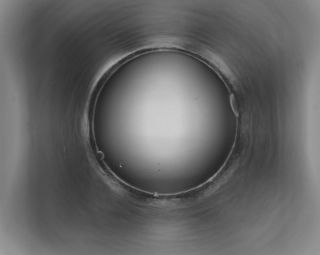 X0000111420936200907201045