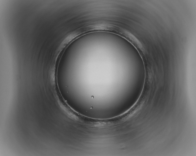 X0000111420938200907201045