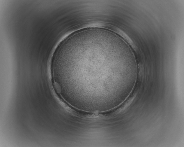 X0000111420939200907201045