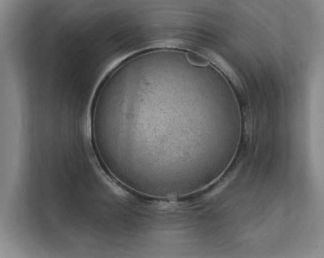 X0000111420940200907201045