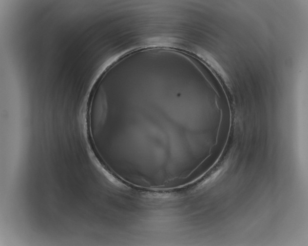 X0000111420941200907201045