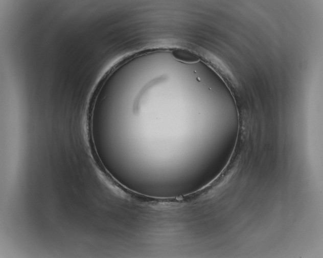 X0000111420942200907201045