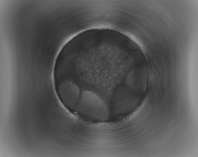 X0000111420943200907201045