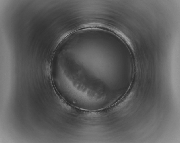 X0000111420945200907201045