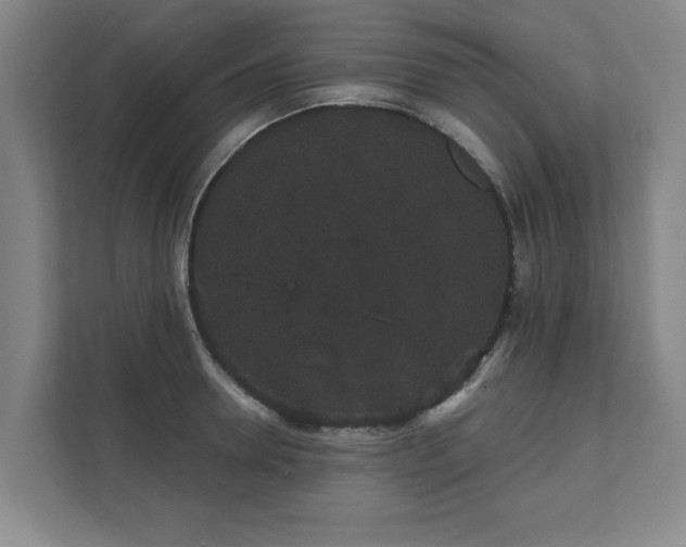 X0000111420946200907201045