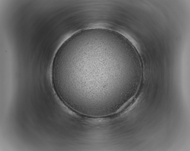 X0000111420949200907201045