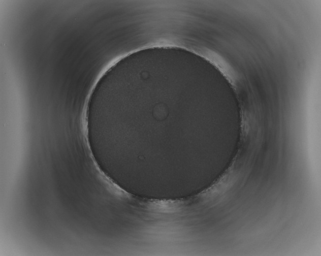 X0000111420950200907201045