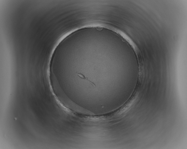 X0000111420951200907201045